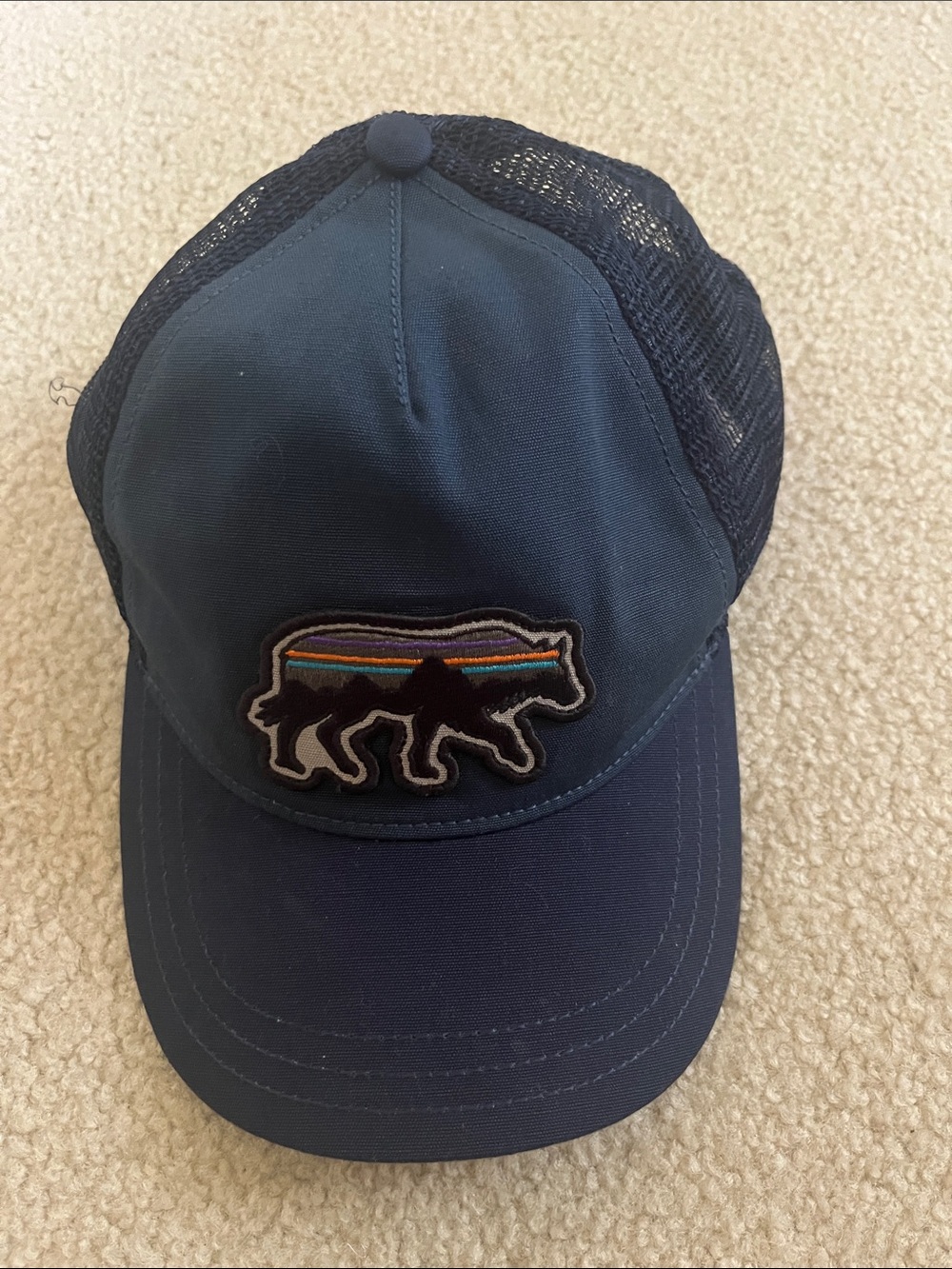 Patagonia Navy Trucker SnapBack Hat with classic Bear Stripe Patch